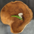 misa 40.png
