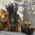 fantazyjna 2 (2).png
