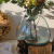 LAMPA 24 (2).png